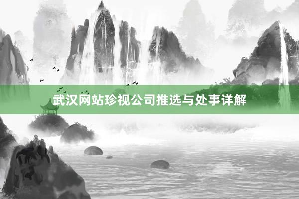 武汉网站珍视公司推选与处事详解